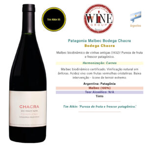 Patagonia Malbec Bodega Chacra